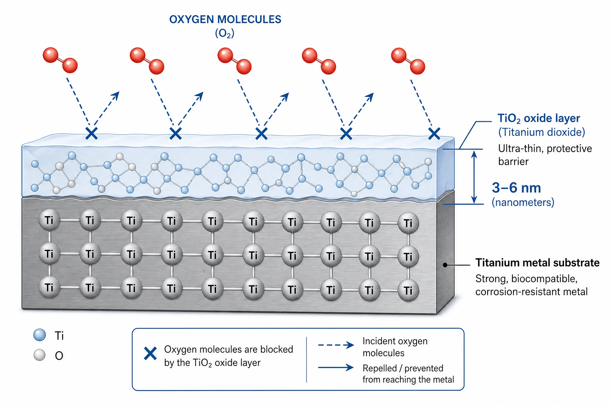 ¿Por qué no se oxida el titanio? La ciencia detrás de la resistencia a la corrosión del titanio, explicada 2 Diagrama de sección transversal de la capa de óxido de TiO2 que muestra una barrera protectora ultrafina en la superficie de titanio.