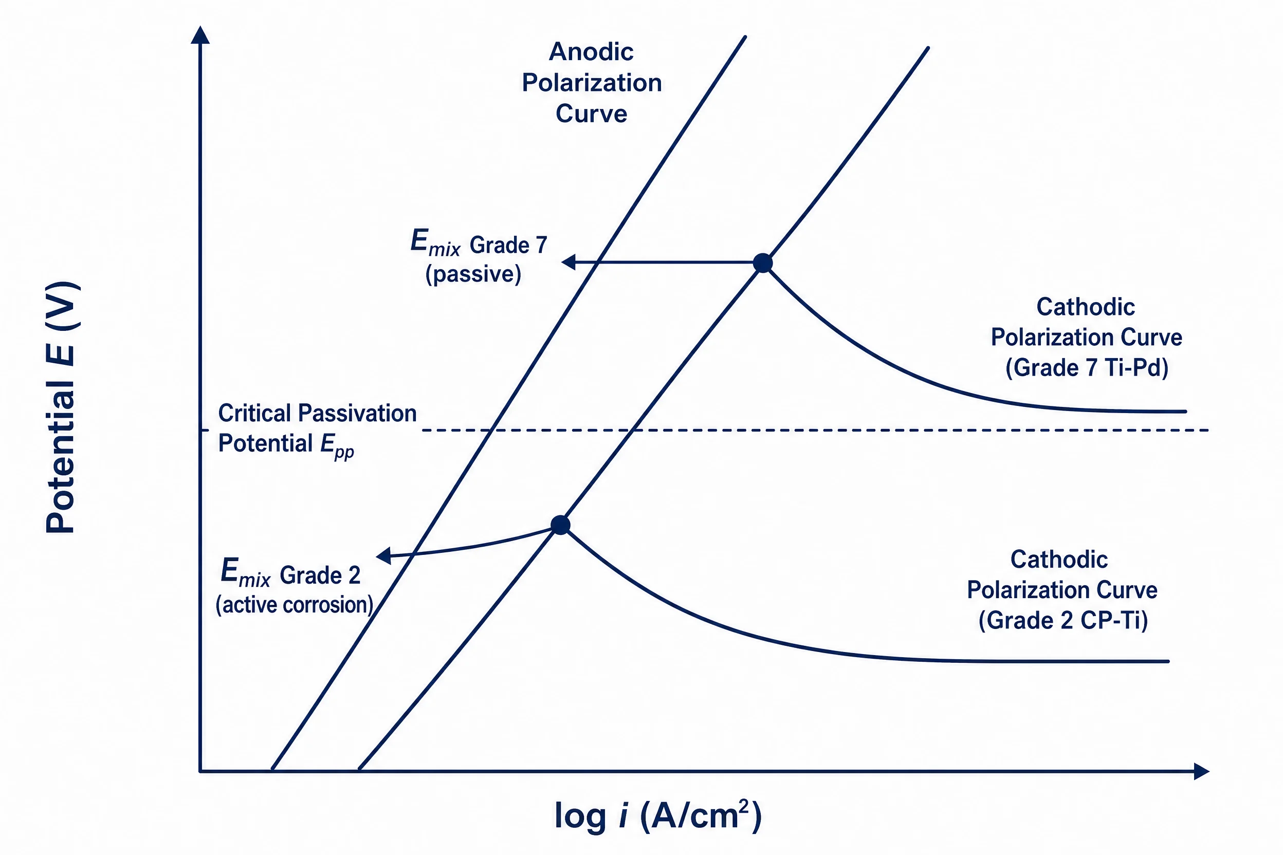 Titânio de grau 7 vs. titânio de grau 2: qual dos dois se destaca em ambientes ácidos? 2 Diagrama de Evans que ilustra o mecanismo de despolarização catódica no titânio de grau 7 — as variações do paládio elevam o potencial misto acima do limiar de passivação, em comparação com o grau 2